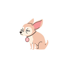 Funny squinting chihuahua dog with medallion on neck flat style