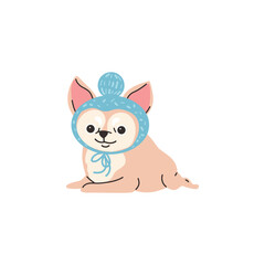 Funny lying chihuahua in cute blue hat with pompon flat style