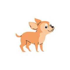 Cute smiling chihuahua dog flat style, vector illustration