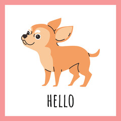 Squared banner with funny smiling chihuahua dog flat style, vector illustration