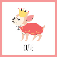 Funny smiling chihuahua dog dressed up with crown and red cape like a king vector illustration on white in a pink frame