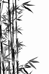 Background of bamboo.