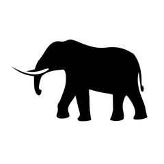 elephant illustration design