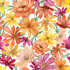 Beautiful seamless pattern design with colorful watercolor flowers. Floral pattern with blooming African Daisy. Summer background with bright multicolor flowers