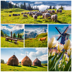 Fototapety na wymiar - Fototapeta24.pl