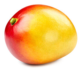 Mango fruit isolated