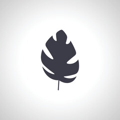 leaf icon. ficus leaf isolated icon