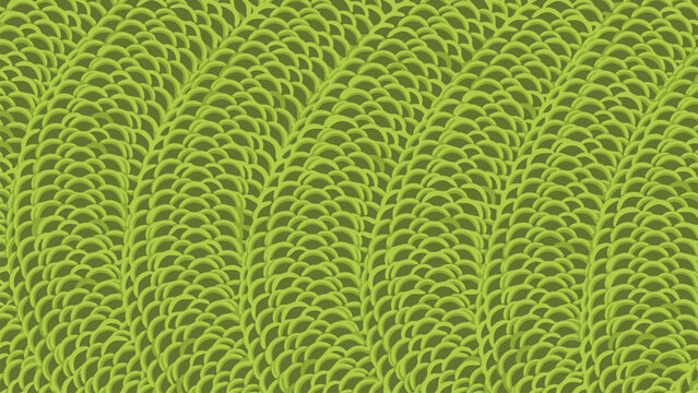 Snake skin pattern. Green color. Texture of snake or crocodile skin. Fashionable print. Fashion and stylish background, pattern for textile