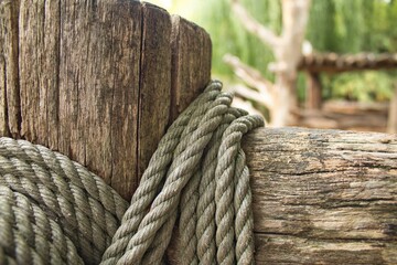 Fototapeta premium Detail of a rope wrapped around a tree trunk