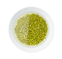 Soaked Mung Beans, Wet Vigna Radiata Seeds Pile, Macro Photo of Green Gram in Water