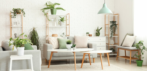 Interior of light living room with grey sofas, racks and houseplants