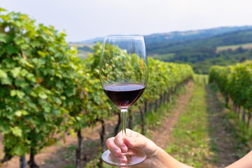 Glass of red wine with green bright vineyard background