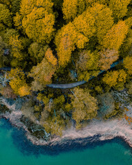 Yellow trees, path and shoreline