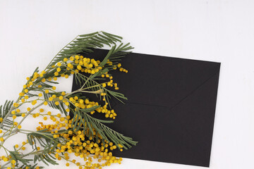 Stylish mimosa flowers flat lay on white background with space for text. 8 march. Happy womens day and Happy Mothers day greeting card template. Beautiful blooming mimosa. Hello spring