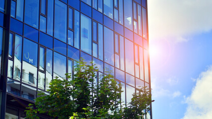 Reflection of modern commercial building on glass with sunlight. Eco architecture. Green tree and...