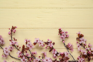 Blooming branches on yellow wooden background