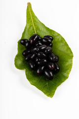 Java Plum or Indian Blackberry