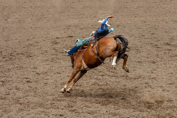 A  cowboy is riding a bucking bronco at a rodeo in an arena. The horse has 2 back legs off the...