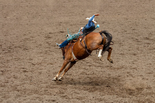 A  cowboy is riding a bucking bronco at a rodeo in an arena. The horse has 2 back legs off the ground. The cowboy is wearing blue with a white hat. They are in a dirt arena.