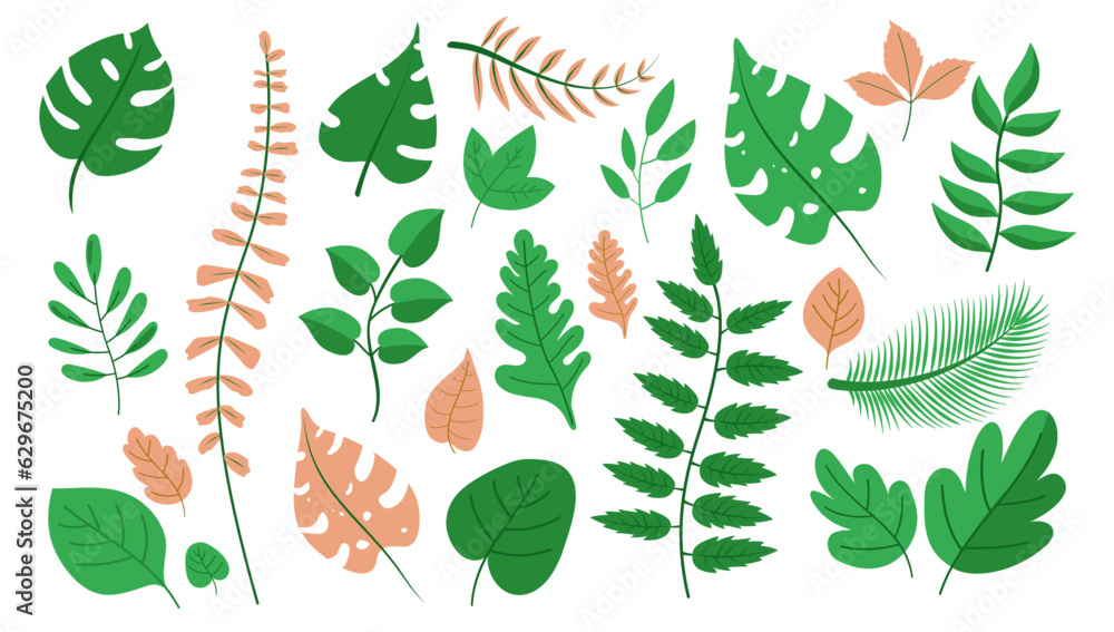 Poster vector leaves collection - set of graphic objects with various leaf, plant and branches. flat design