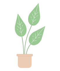 Monstera plant in pot semi flat colour vector object. Big exotic plant leaves with venes. Editable cartoon clip art icon on white background. Simple spot illustration for web graphic design