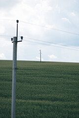 Fototapeta na wymiar electric poles with wires in the field