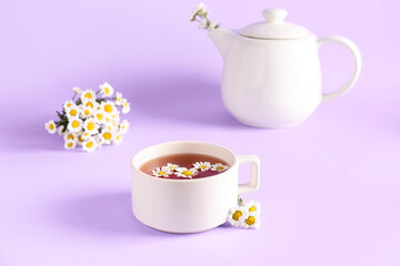 Teapot with cup of natural chamomile tea and flowers on lilac background