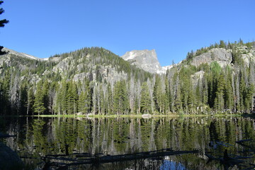 nymph dream emerald lake rocky mountain national park