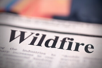 Close-up Shot of Wildfire Article in Newspaper