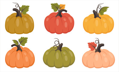 Pumpkin set isolated. Collection of whole pumpkin with leaves. Ripe harvest vegetable. Vector illustration for autumn design, good nutrition, agricultural harvest, Thanksgiving, Halloween