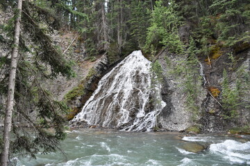 waterfall in the forest