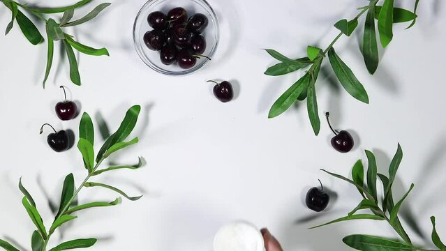 woman put cream box with Branch with fresh green Ruscus leaves and cherry fruits on gray background