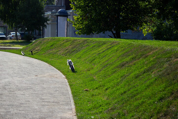slope with lawn grass, erected as part of the Comfortable Urban Environment program
