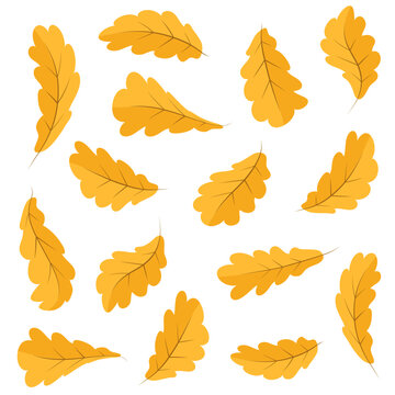 Autumn leaves of other trees. Yellowed oak leaves swirl in the air. Flat vector illustration