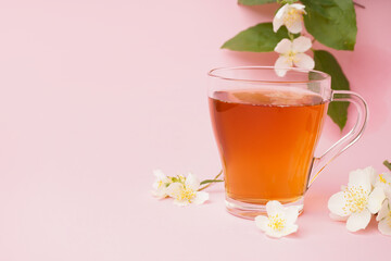 Glass cup of tea and beautiful jasmine flowers on pink background