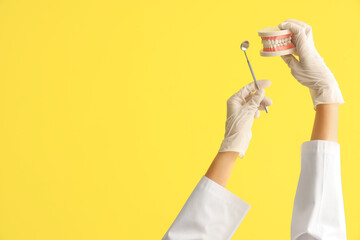 Female doctor's hands in gloves with dental mirror and tweezers jaw model on yellow background