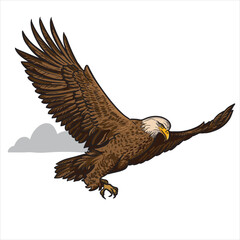 Flying Bald eagle isolated illustration. Wild North American animals