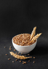 Wheat grains in white bowl and whole wheat ears, close up. Heap of the farro wheat on black background. Cereals seeds with gluten proteins for bread ingredients in food industry.