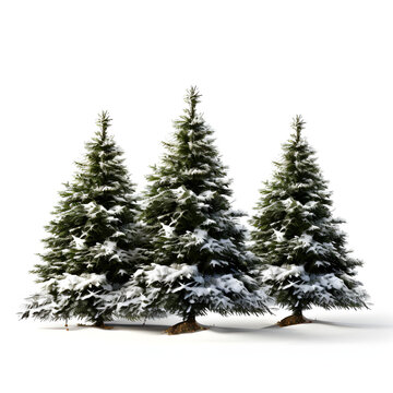 Christmas trees in snow, isolated on white background, Generative AI