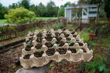 Fototapeta premium Global warning