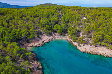 AERIAL: Lovely little bay with a clear blue sea surrounded by lush pine forest - obrazy, fototapety, plakaty