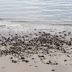 rocks on beach