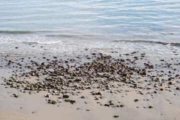 rocks on beach