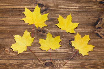 Autumn mood composition background. Autumn dried yellow leaves on wooden background. Colorful, minimal concept. Flat lay, top view, copy space.