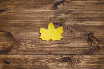 Autumn mood composition background. Autumn dried yellow leaves on wooden background. Colorful, minimal concept. Flat lay, top view, copy space.