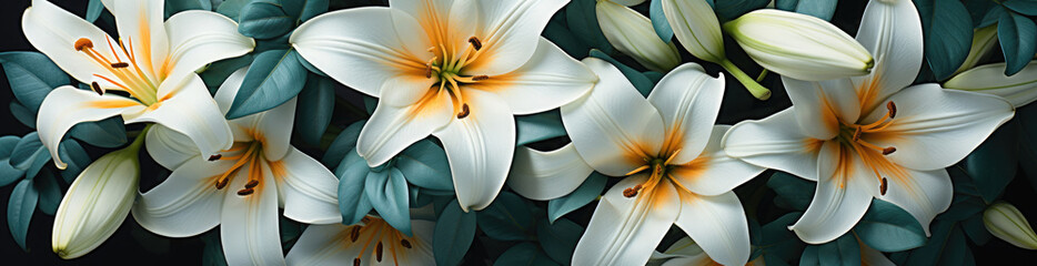 Lily , Best Website Background, Hd Background, Background For Computers Wallpaper