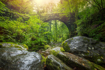 Fototapeta na wymiar Old bridge over the Sesn river in the Fragas do Eume natural park in A Corua, Galicia, Spain with exuberant vegetation