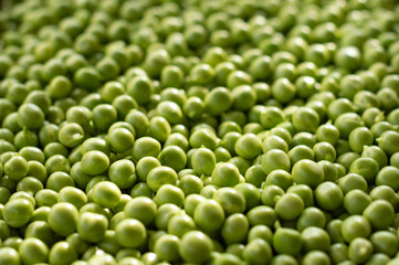Fototapeta na wymiar Lots of ripe green peas. view from above. Peas background. Green background