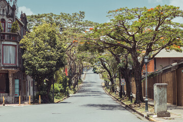 Obraz premium Beautiful avenue in San Jose, Costa rica close to parque espana on a sunny hazy summer day. Green leaves and shade above the road.