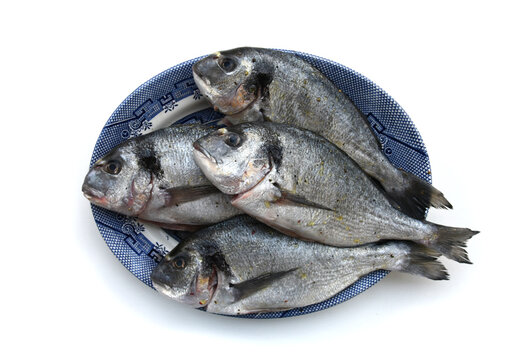 1,023 Fishing Bream Stock Photos, High-Res Pictures, and Images